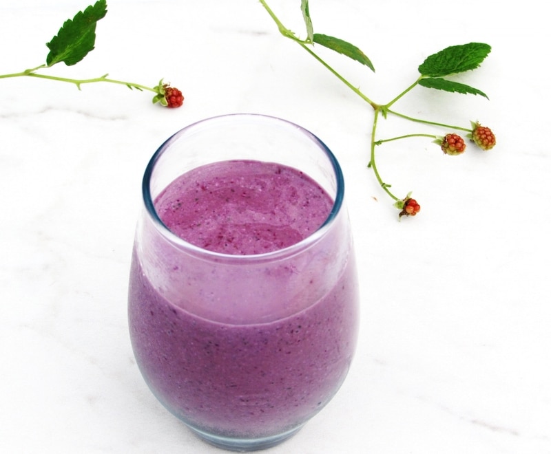 PCOS Smoothies- glass of purple colored blackberry cinnamon cottage cheese smoothie with branches of small blackberries in background by nourishingplate.com
