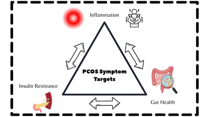 graphic showing triangle and connection of PCOS symptoms root causes to target: inflammation, insulin resistance, gut health.